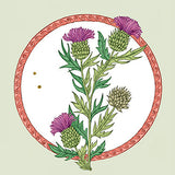 Plant Spirit Wisdom Book