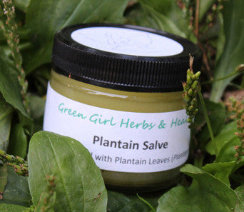 Plantain Salve - All Natural Salve to Soothe the Pain of Bee Stings, Burns, Minor Cuts